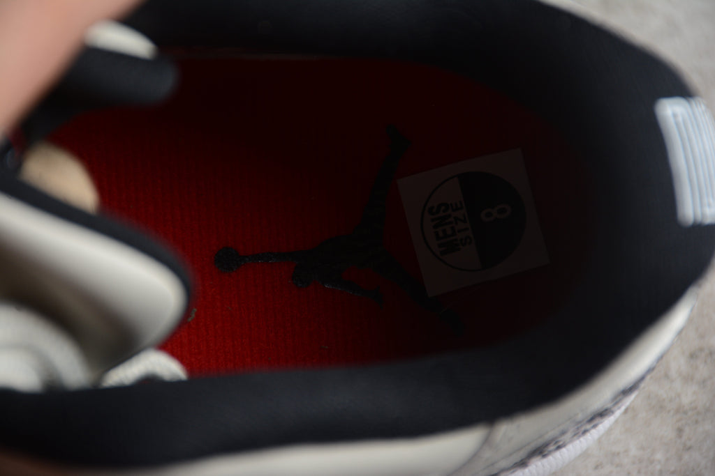 AJ 11 Low "Snake"
